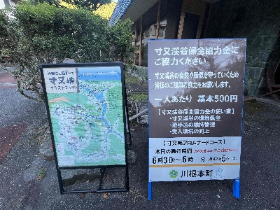 Photo from 2025/7/26