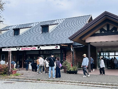 Photo from 2025/10/12