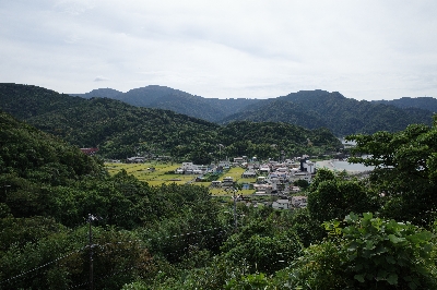Photo from 2025/9/22