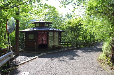 Photo from 2025/7/26