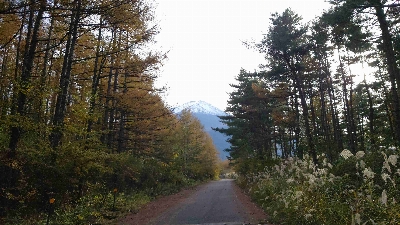 Photo from 2025/11/7