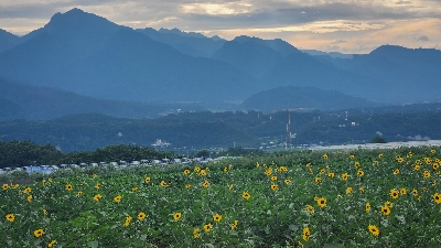 Photo from 2024/7/20