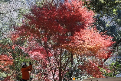 Photo from 2023/12/10