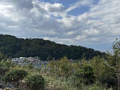 Photo from 2024/11/3