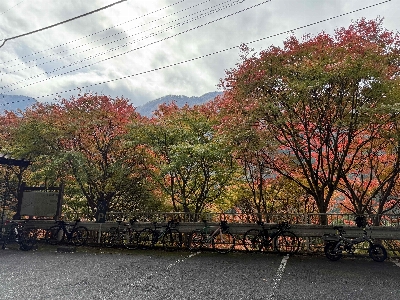 Photo from 2024/11/10