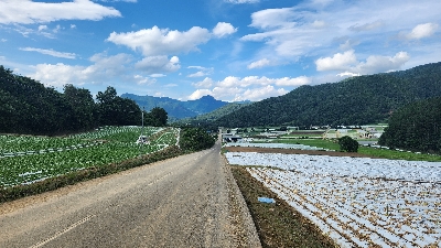 Photo from 2024/7/20