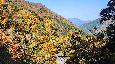 Photo from 2025/11/7