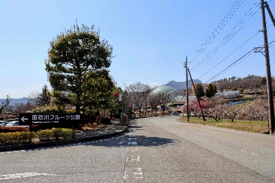 Photo from 2025/3/23