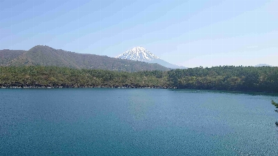 Photo from 2025/4/27