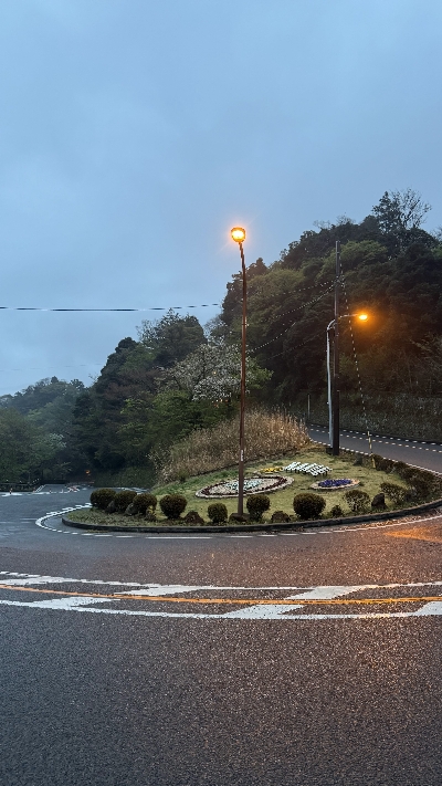 Photo from 2025/4/12