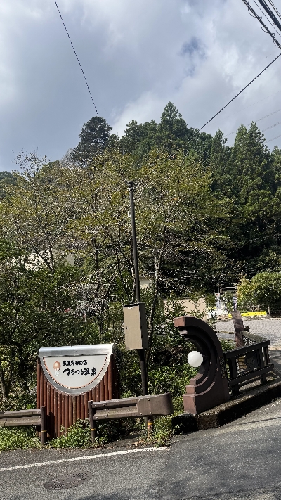 Photo from 2025/9/28