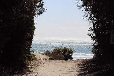 Photo from 2024/3/10