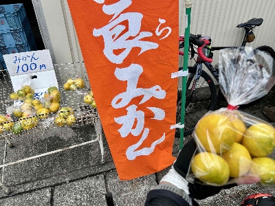 Photo from 2025/10/19