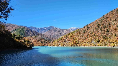 Photo from 2024/11/21