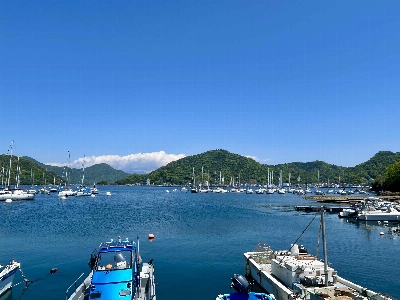 Photo from 2025/4/29