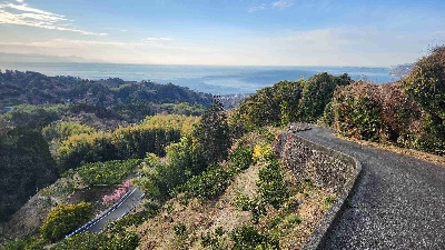 Photo from 2025/2/27