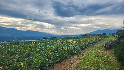 Photo from 2024/7/20