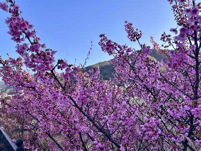 Photo from 2026/1/17