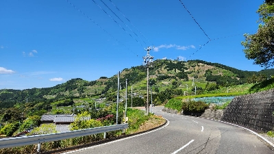 Photo from 2023/4/16