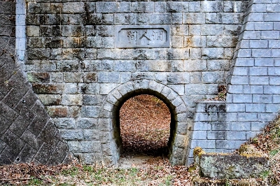 Photo from 2025/3/23