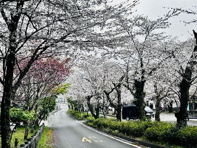 Photo from 2026/3/27