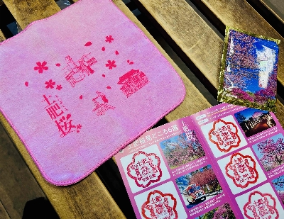 Photo from 2026/1/17