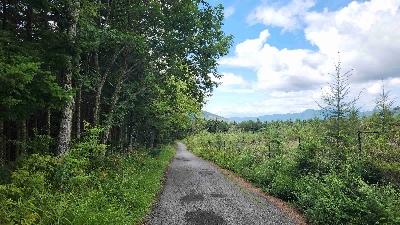 Photo from 2024/8/20