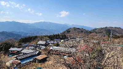 Photo from 2025/3/23