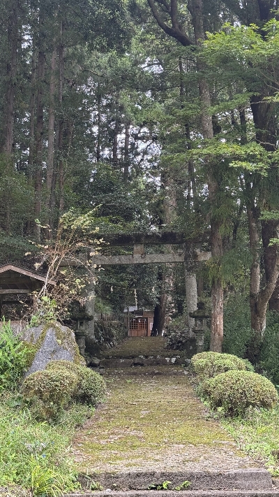 Photo from 2025/9/28