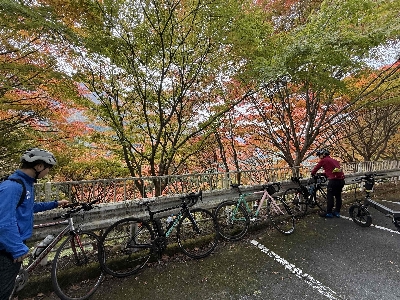 Photo from 2024/11/10