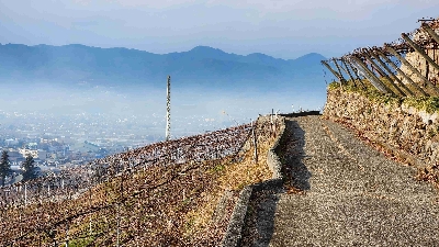 Photo from 2024/12/21