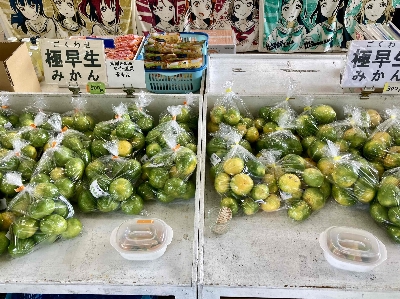 Photo from 2024/9/29