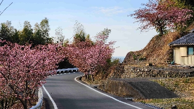 Photo from 2025/2/27