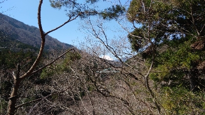 Photo from 2020/3/25