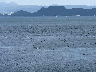 Photo from 2024/11/3