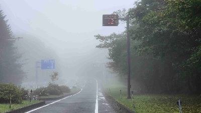 Photo from 2025/9/30