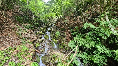 Photo from 2023/6/10