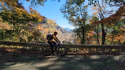 Photo from 2023/12/3