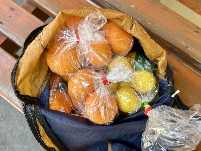 Photo from 2025/4/29