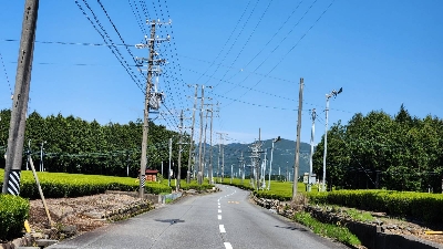 Photo from 2023/4/16