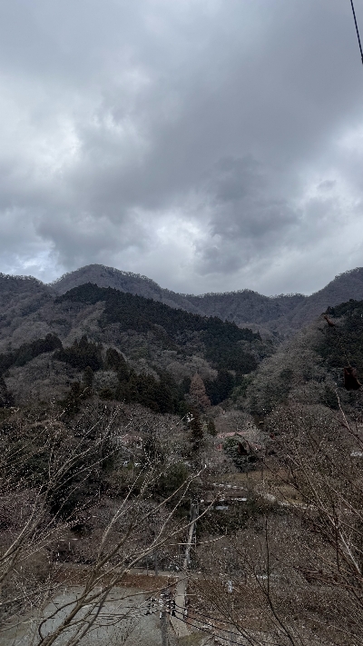 Photo from 2025/1/25