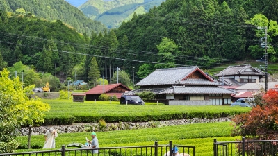 Photo from 2023/4/29