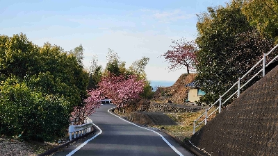 Photo from 2025/2/27