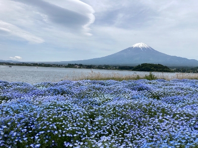 Photo from 2023/5/28