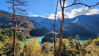 Photo from 2024/11/21