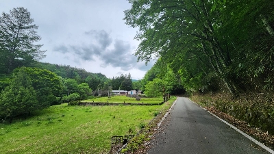 Photo from 2023/6/10