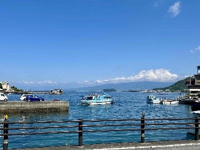 Photo from 2025/4/29