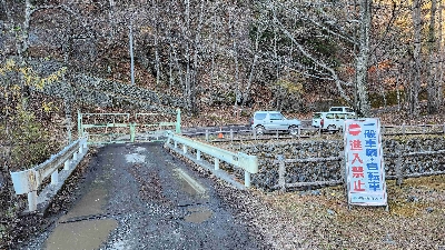 Photo from 2024/11/21