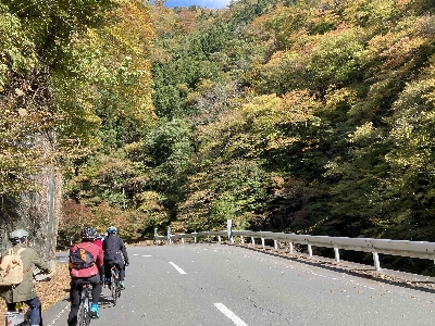 Photo from 2024/11/10