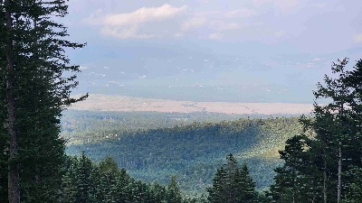 Photo from 2025/8/24